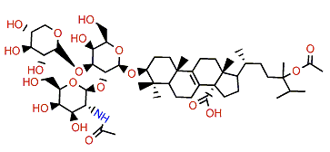 Eryloside V2